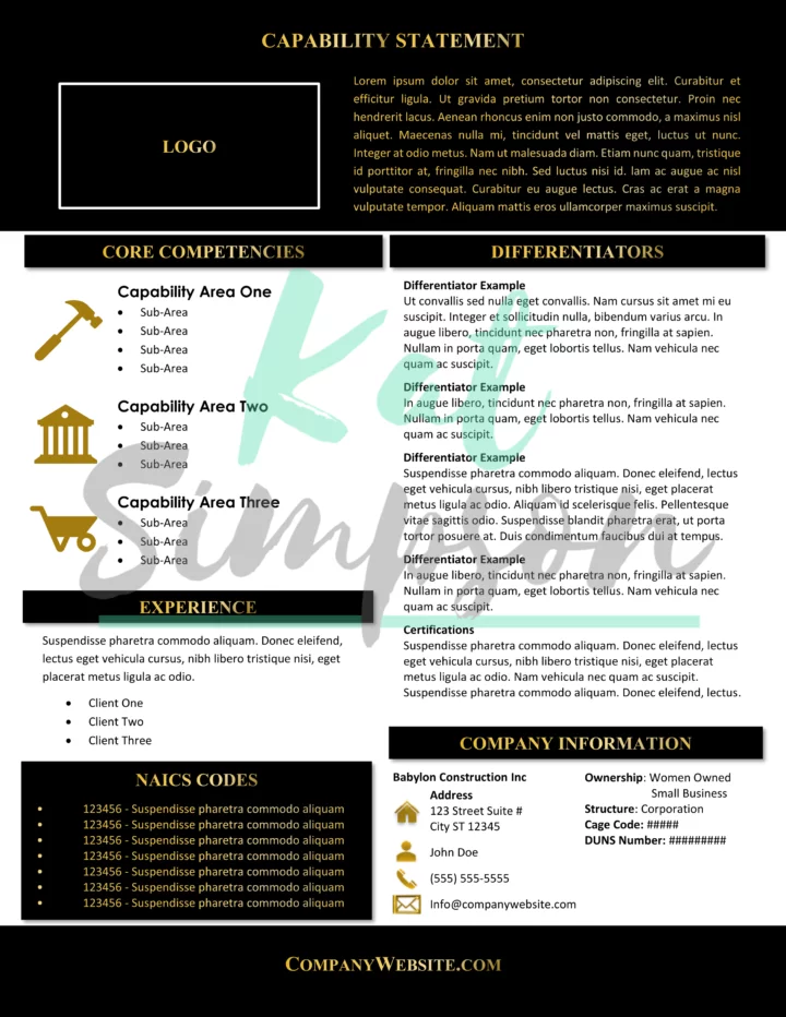 Modern Capability Statement Template - CSNI3